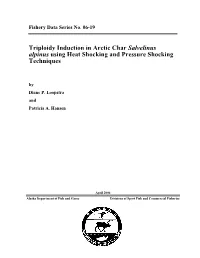 Triploidy Induction in Arctic Char Salvelinus Alpinus Using Heat Shocking and Pressure Shocking Techniques