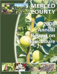 Figs in Merced County Compared to the 92,000 Acres of Almonds in Merced County, the Modest 2,000 Acres of Figs Seems Insignificant
