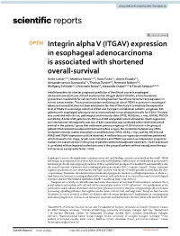 Integrin Alpha V (ITGAV) Expression in Esophageal Adenocarcinoma Is