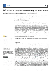 LIM-Kinases in Synaptic Plasticity, Memory, and Brain Diseases