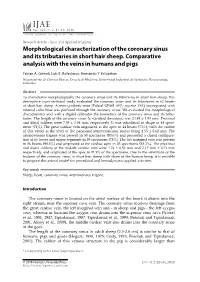 Morphological Characterization of the Coronary Sinus and Its Tributaries in Short Hair Sheep. Comparative Analysis with the Veins in Humans and Pigs