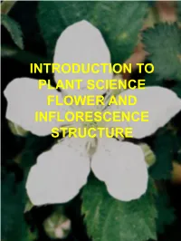 Introduction to Plant Science Flower and Inflorescence Structure Introduction