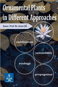 Ornamental Plants in Different Approaches