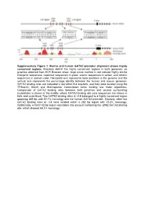 Supplemental Material 1 (PDF)