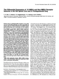 The Differential Expression of 16 NMDA and Non-NMDA Receptor Subunits in the Rat Spinal Cord and in Periaqueductal Gray