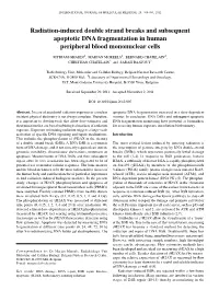 Radiation-Induced Double Strand Breaks and Subsequent Apoptotic DNA Fragmentation in Human Peripheral Blood Mononuclear Cells