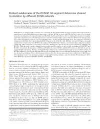 Distinct Subdomains of the KCNQ1 S6 Segment Determine Channel Modulation by Different KCNE Subunits