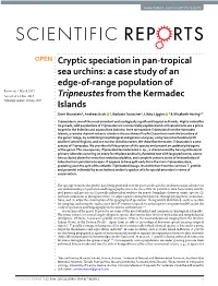 A Case Study of an Edge-Of-Range Population of Tripneustes from The