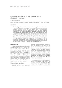Reproductive Cycle in an Ellobiid Snail Cassidula Nucleus A