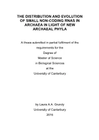 The Distribution and Evolution of Small Non-Coding Rnas in Archaea in Light of New Archaeal Phyla