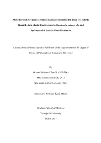 Lipoxygenase in Marchantia Polymorpha And