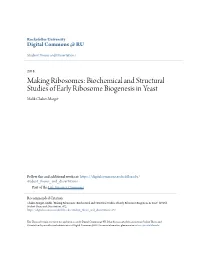 Making Ribosomes: Biochemical and Structural Studies of Early Ribosome Biogenesis in Yeast Malik Chaker-Margot