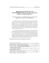 Biohydrogen Production by Photofermentation of Lactic Acid Using Thiocapsa Roseopersicina