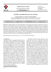 Checklist of Annelida from the Coasts of Turkey
