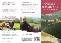 Ditchling Beacon and Devil's Dyke