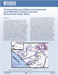 Fact Sheet PDF File