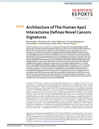 Architecture of the Human Ape1 Interactome Defines Novel Cancers