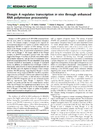 Elongin a Regulates Transcription In&Nbsp