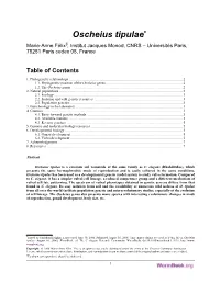 Oscheius Tipulae* §