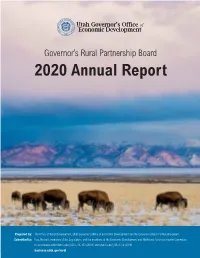 2020 Annual Report