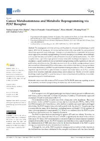 Cancer Metabostemness and Metabolic Reprogramming Via P2X7 Receptor