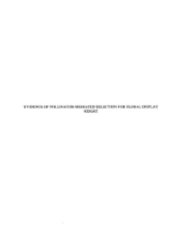 Evidence of Pollinator-Mediated Selection for Floral Display Height Evidence of Pollinator-Mediated Selection for Floral Display Height