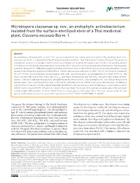 Microbispora Clausenae Sp