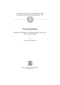 Tracing History