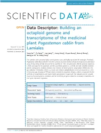 Building an Octaploid Genome and Transcriptome of the Medicinal Plant