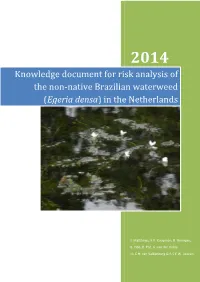 Knowledge Document for Risk Analysis of the Non-Native Brazilian Waterweed (Egeria Densa) in the Netherlands