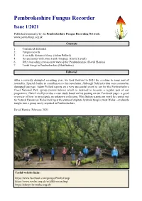 Pembrokeshire Fungus Recorder Issue 1/2021