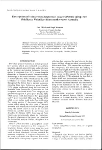 Adec Preview Generated PDF File