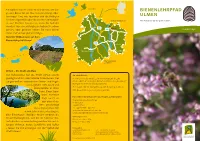 Bienenlehrpfad Ulmen! A1 Lutzerath