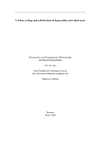 Carbon Cycling and Calcification in Hypersaline Microbial Mats