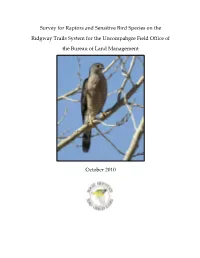 Survey for Raptors and Sensitive Bird Species on the Ridgway Trails System for the Uncompahgre Field Office of the Bureau of Land Management