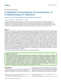 A Multilevel Computational Characterization of Endophenotypes in Addiction