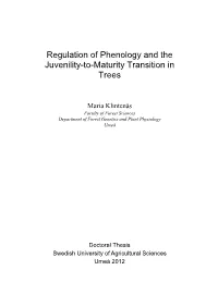 Regulation of Phenology and the Juvenility-To-Maturity Transition in Trees