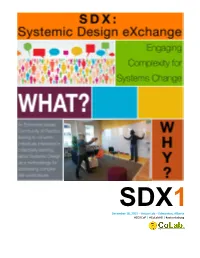 Systemic Design Overview