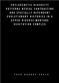 Dissertation.Pdf