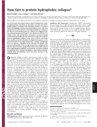 How Fast Is Protein Hydrophobic Collapse?