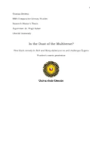 In the Dust of the Multiverse?