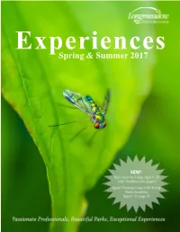 Spring & Summer 2017