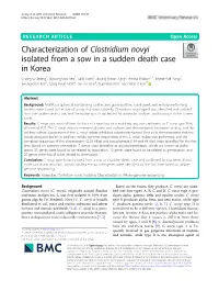 Characterization of Clostridium Novyi Isolated from a Sow in a Sudden Death Case in Korea