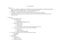 The Limbic System I. Overview A. Between the Neocortex And