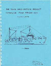 The Nain Anorthosite Project, Labrador: Field