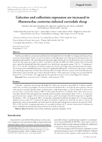 Galectins and Collectinis Expression Are Increased in Haemonchus