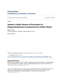 Variation in Sulfide Tolerance of Photosystem Ii in Phylogenetically