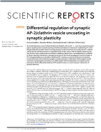Differential Regulation of Synaptic AP-2/Clathrin Vesicle Uncoating In