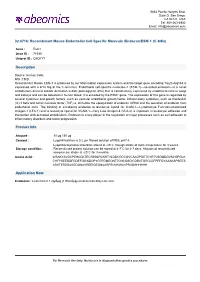 Recombinant Mouse Endothelial Cell-Specific Molecule /Endocan/ESM-1 (C-6His)
