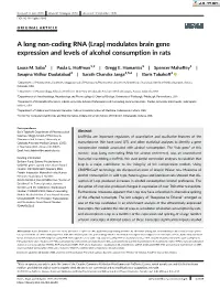 A Long Non‐Coding RNA (Lrap) Modulates Brain Gene Expression